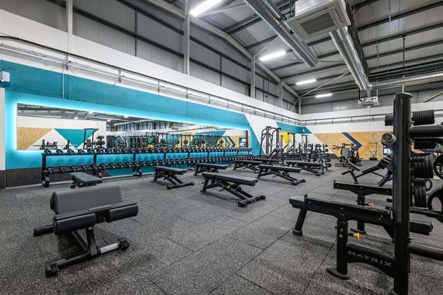 Haroldwood202601 079