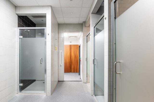 Harlow202504 204