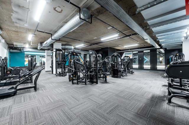 Swisscottage202504 427