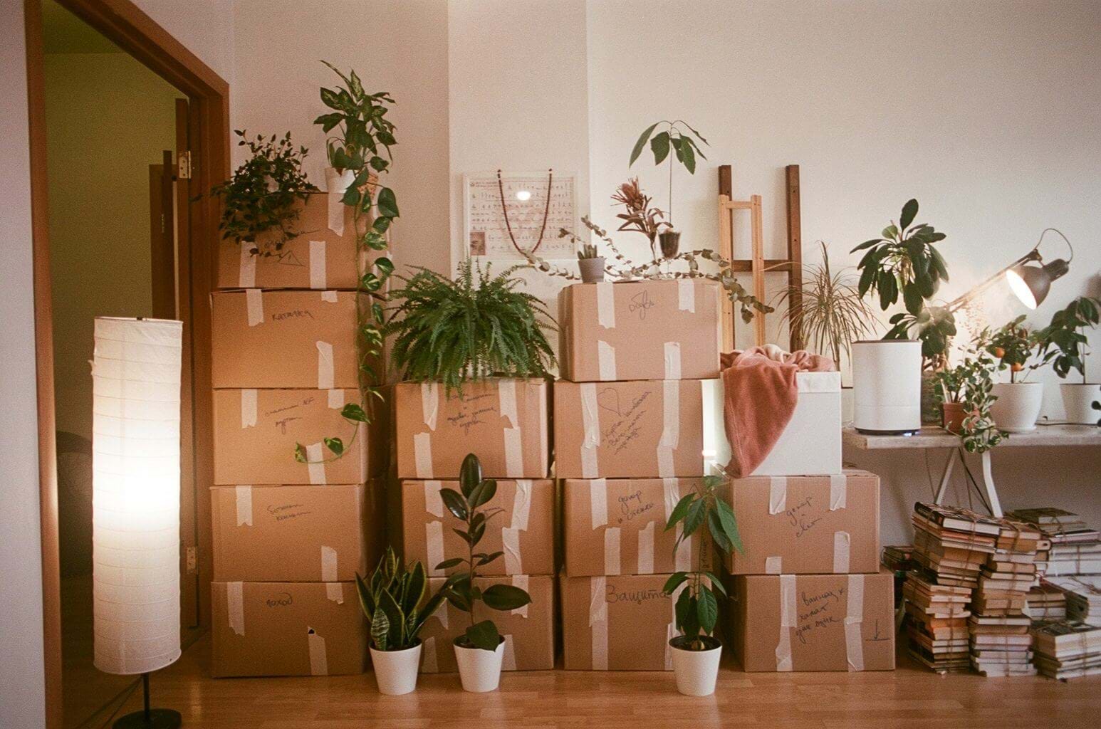 The Surprising Fitness Benefits of Moving House