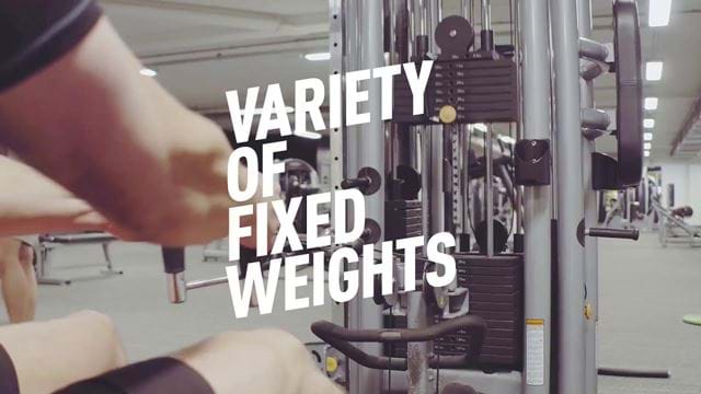 variety of fixed weights thumbnail