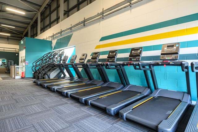 Haroldwood202601 015