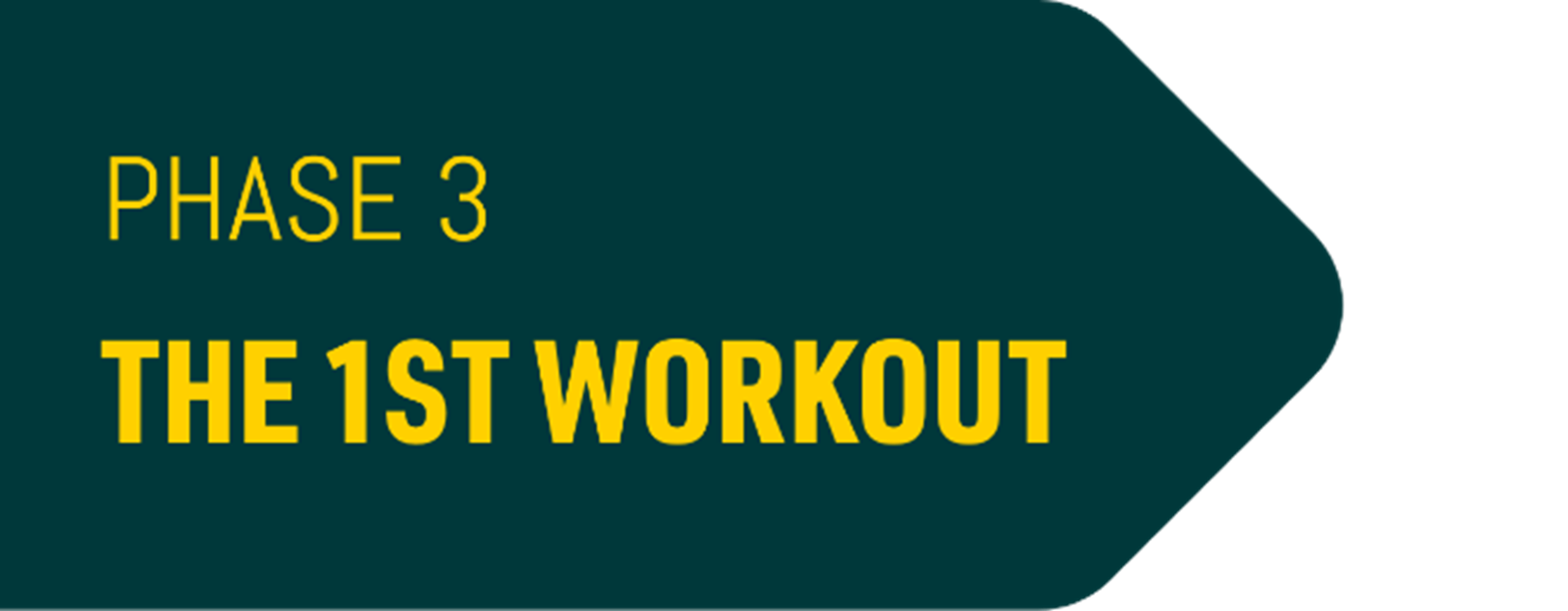 Phase 3 the first workout
