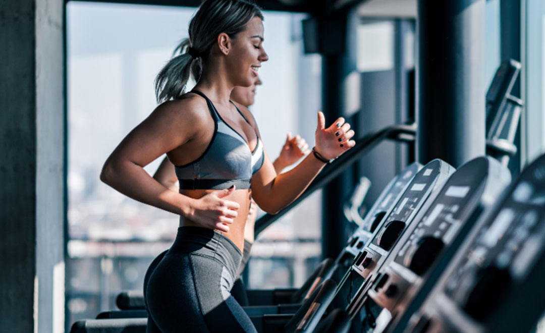 Gym Equipment 101