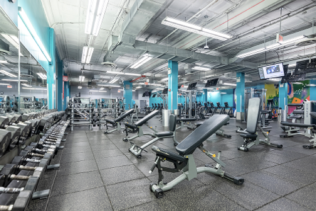 gates_extended_free_weights