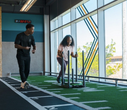 turf_and_sled