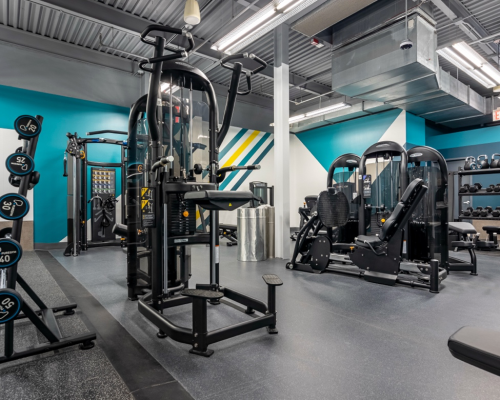 Upgraded Strength Equipment